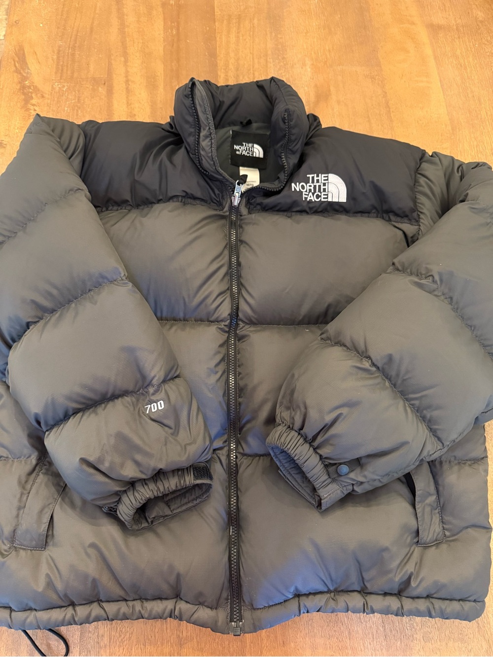 The North Face men’s 700 Fill Down Puffer Jacket - Black